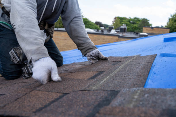 Roof Gutter Cleaning in Durant, OK